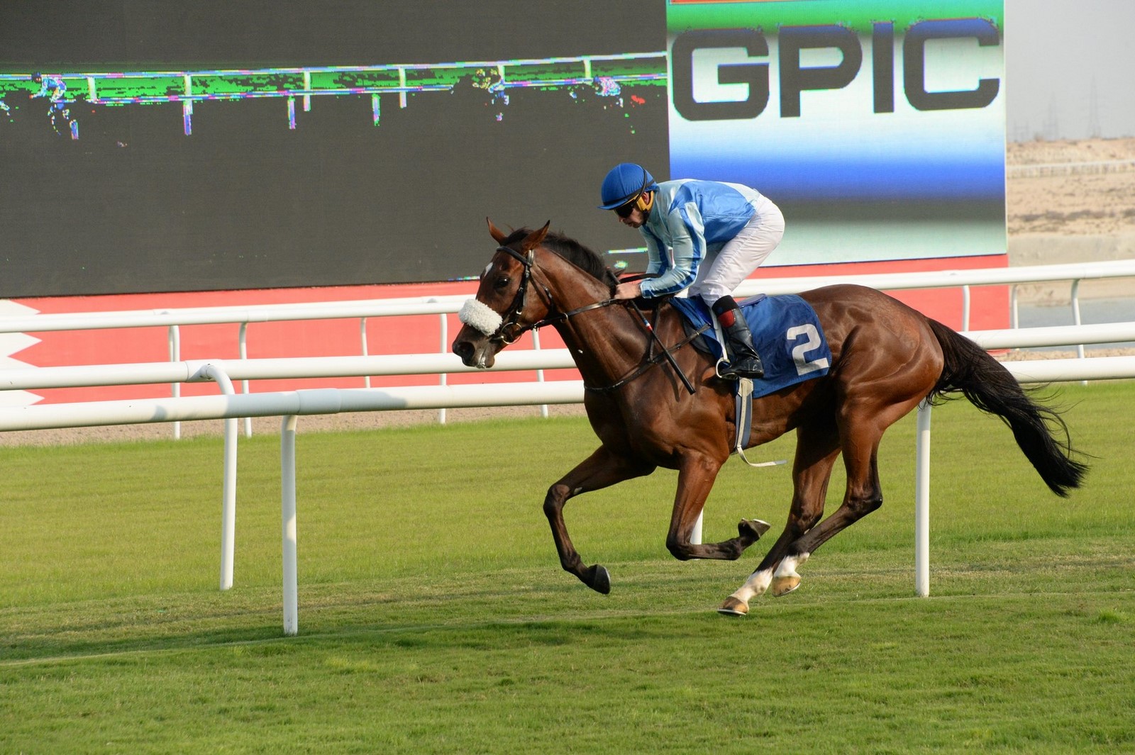 The Rashid Equestrian Club organises sixth race of the season Bahrain